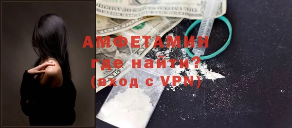 МДПВ Ельня
