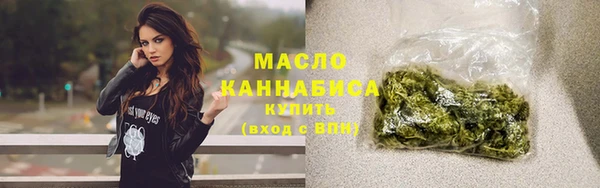МДПВ Ельня