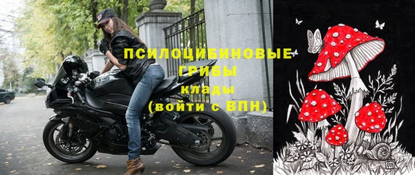 МДПВ Ельня