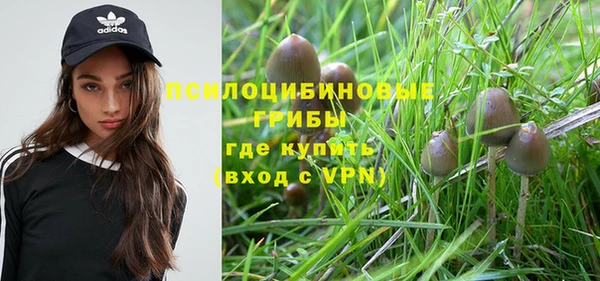 ГАЛЛЮЦИНОГЕННЫЕ ГРИБЫ Заводоуковск