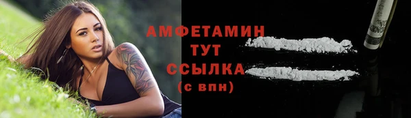 МДПВ Ельня