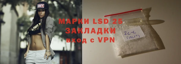 стаф Кущёвская