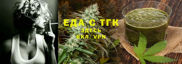 МДПВ Ельня