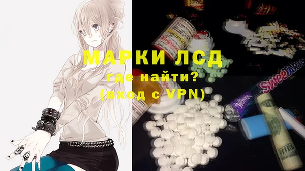 МДПВ Ельня