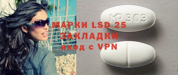 МДПВ Ельня